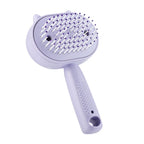 Electric Mist Spray Comb Scalp Massager LED Hair Brush for Home and Travel