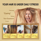 Amino Acid Hair Oil Nourishing Treatment for Smooth Shiny Hair and Heat Protection