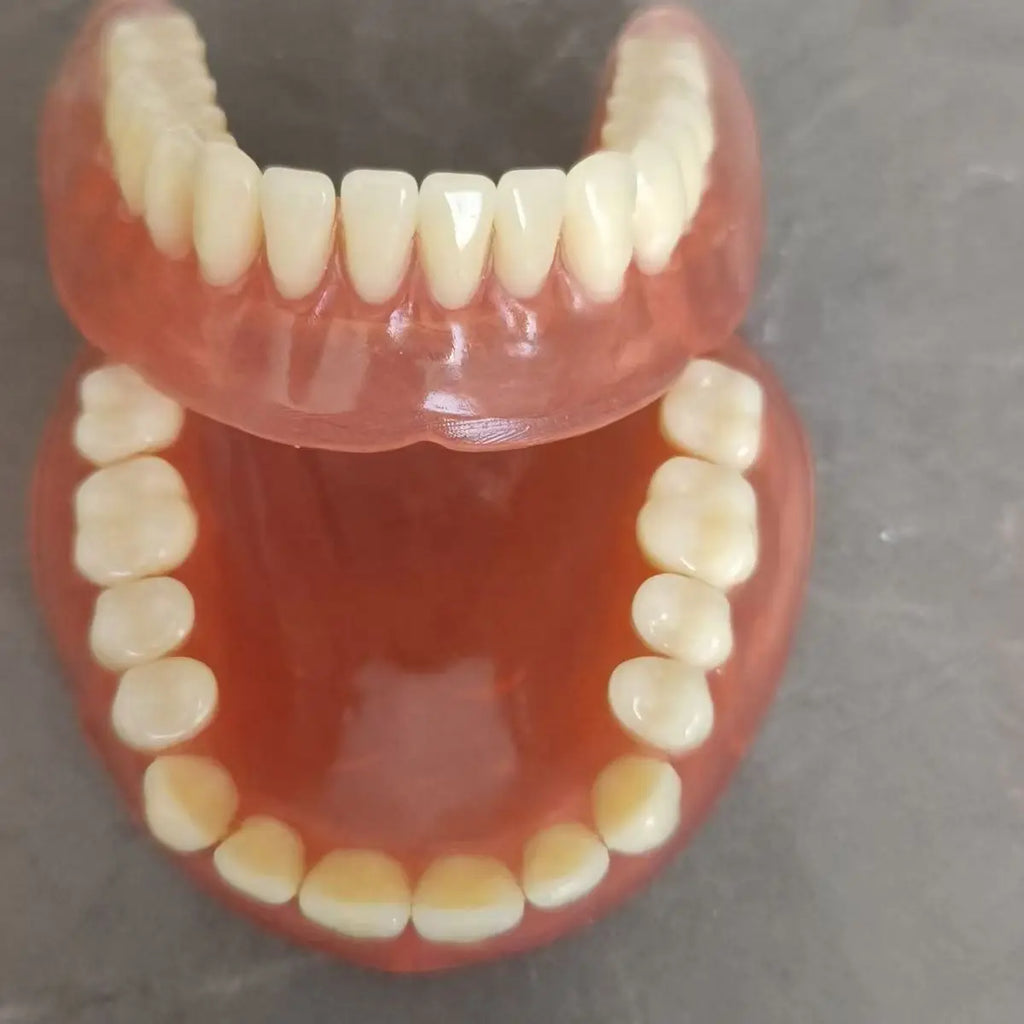 Full Mouth Denture Set with Storage Case Cleaning Tools for Comfortable Fit Daily Dental Care