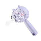 Electric Mist Spray Comb Scalp Massager LED Hair Brush for Home and Travel