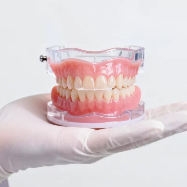 Natural Silicone Dentures Instant Comfort Fit Teeth for Men and Women for Confident Smile